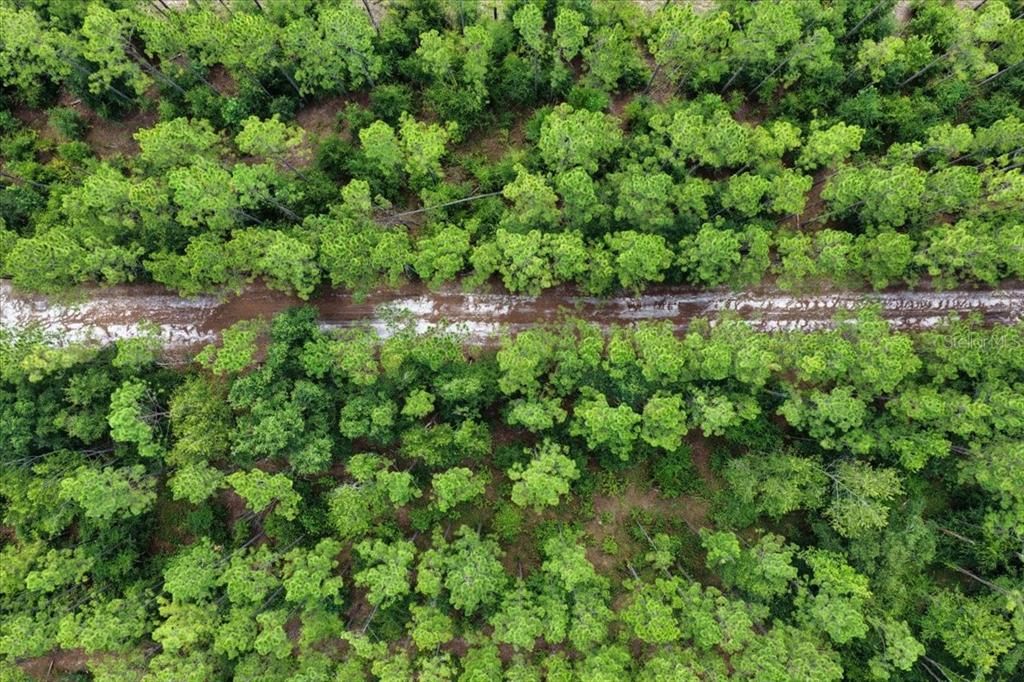 待售: $489,900 (2 贝兹, 2 浴室, 1500 平方英尺)