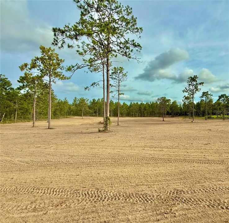 For Sale: $138,500 (5.00 acres)