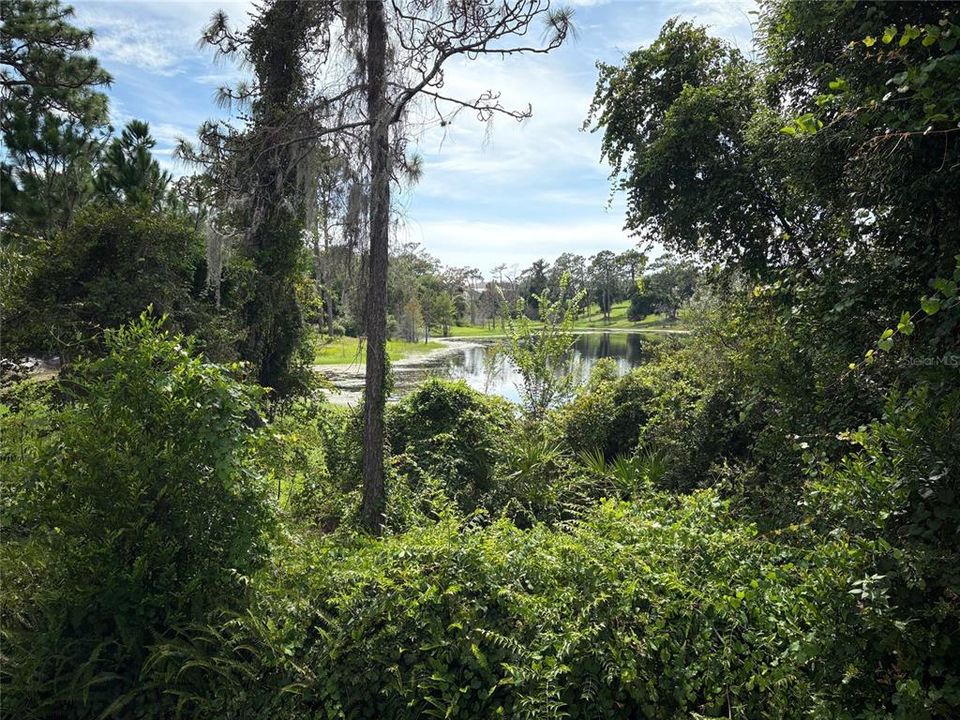 For Sale: $625,000 (3 beds, 2 baths, 3076 Square Feet)