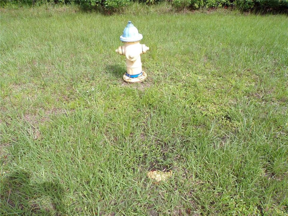 Под контрактом: $12,500 (0.23 acres)