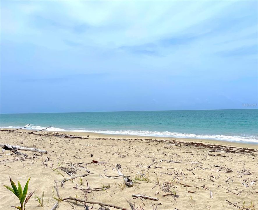 For Rent: $1,800 (3 beds, 2 baths, 0 Square Feet)