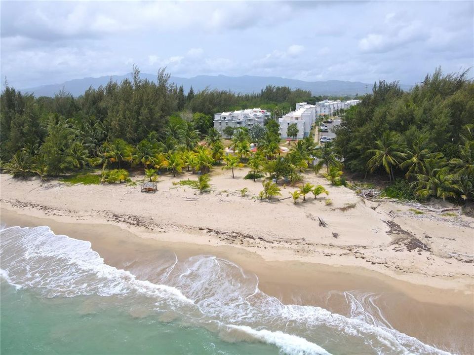 For Rent: $1,800 (3 beds, 2 baths, 0 Square Feet)