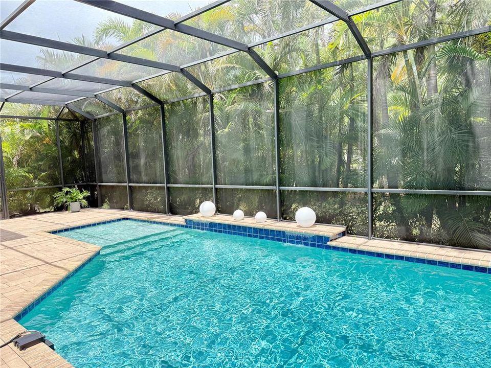 出租: $6,500 (3 贝兹, 2 浴室, 2432 平方英尺)