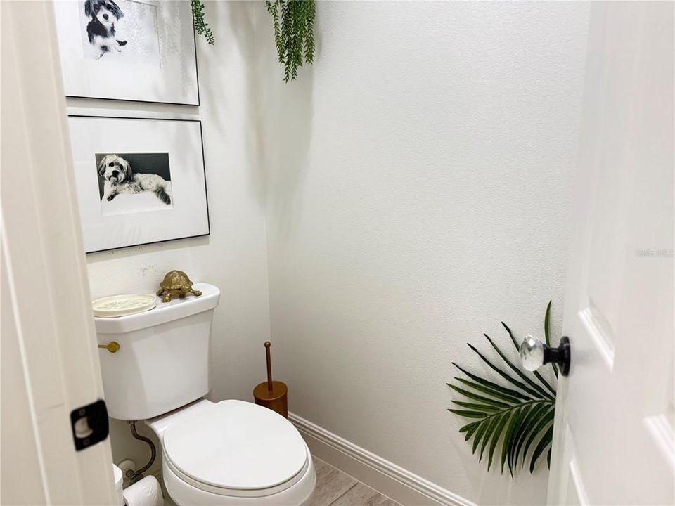 出租: $6,500 (3 贝兹, 2 浴室, 2432 平方英尺)