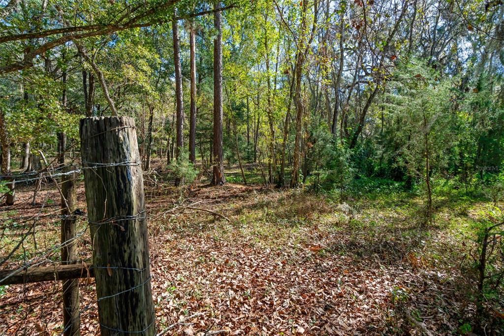 For Sale: $289,500 (2 beds, 1 baths, 912 Square Feet)