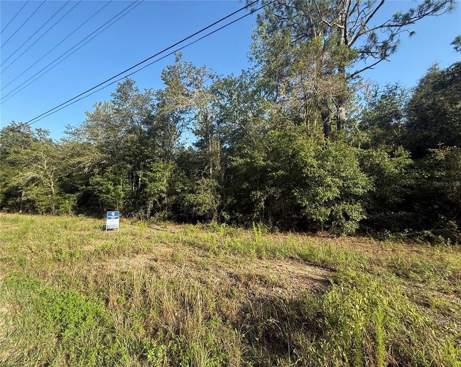 Recently Sold: $27,900 (0.99 acres)