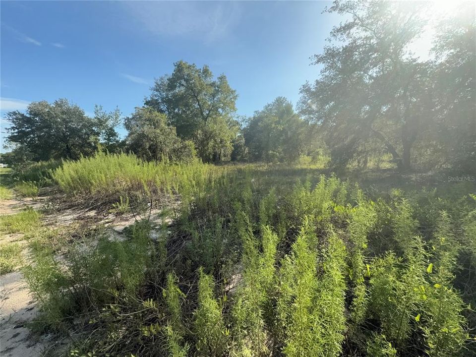 Recently Sold: $27,900 (0.99 acres)