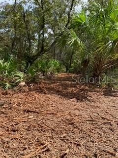 En Venta: $45,000 (1.18 acres)