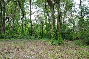 En Venta: $75,000 (1.49 acres)