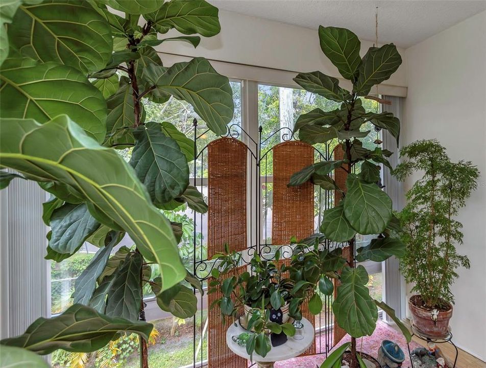 待售: $95,000 (2 贝兹, 1 浴室, 790 平方英尺)