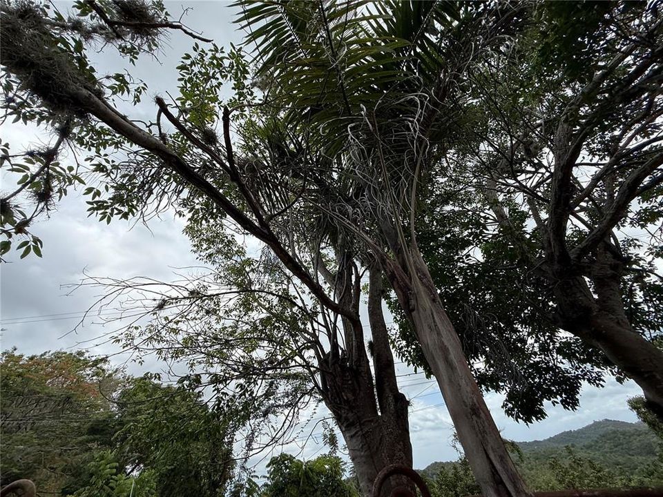 待售: $159,900 (0.80 acres)