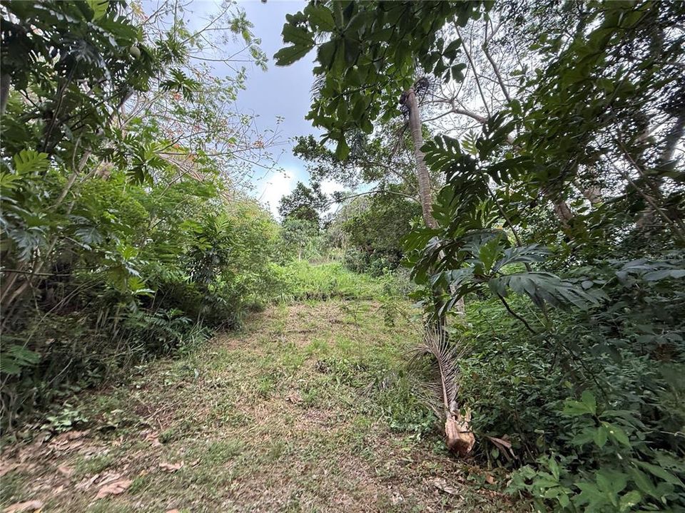 待售: $159,900 (0.80 acres)