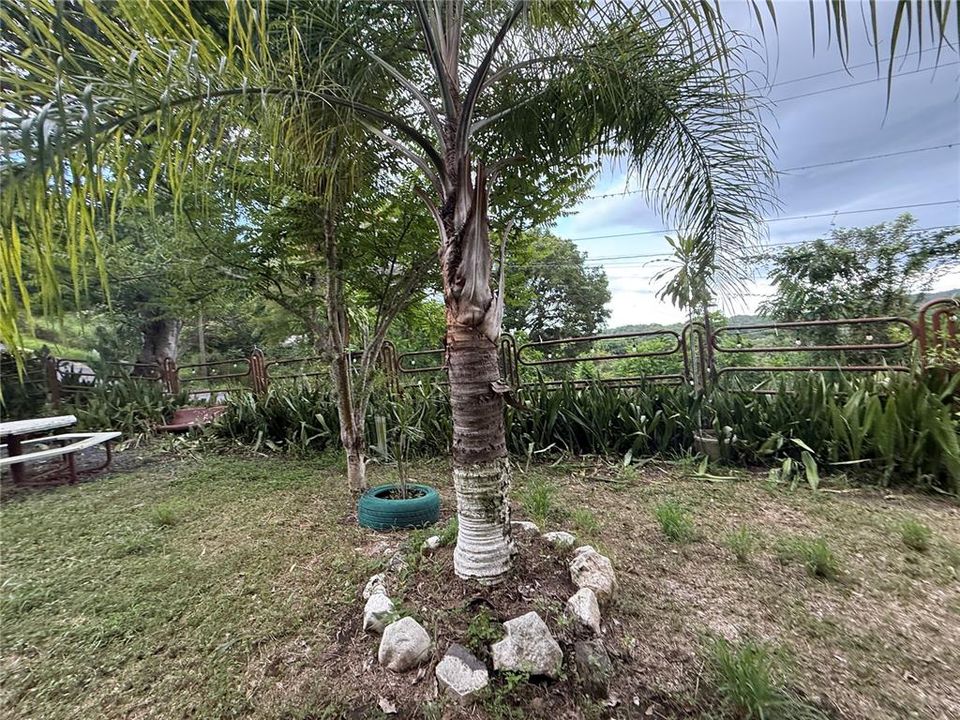 待售: $159,900 (0.80 acres)