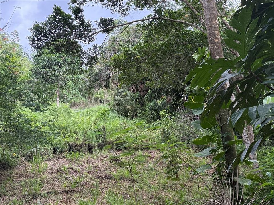 待售: $159,900 (0.80 acres)