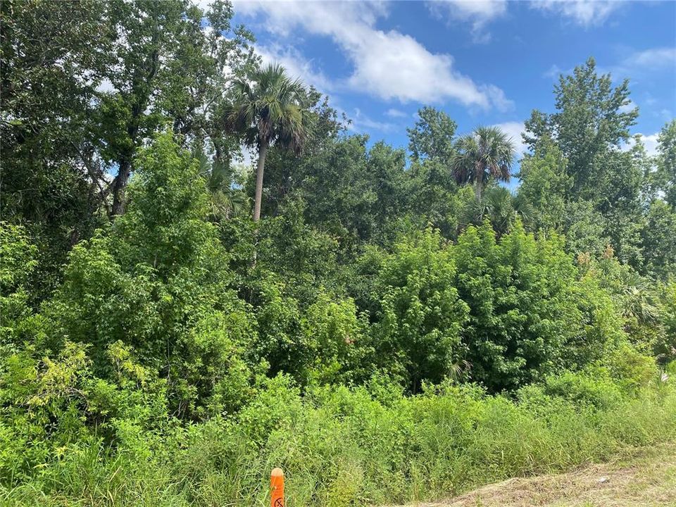 На продажу: $99,000 (4.90 acres)