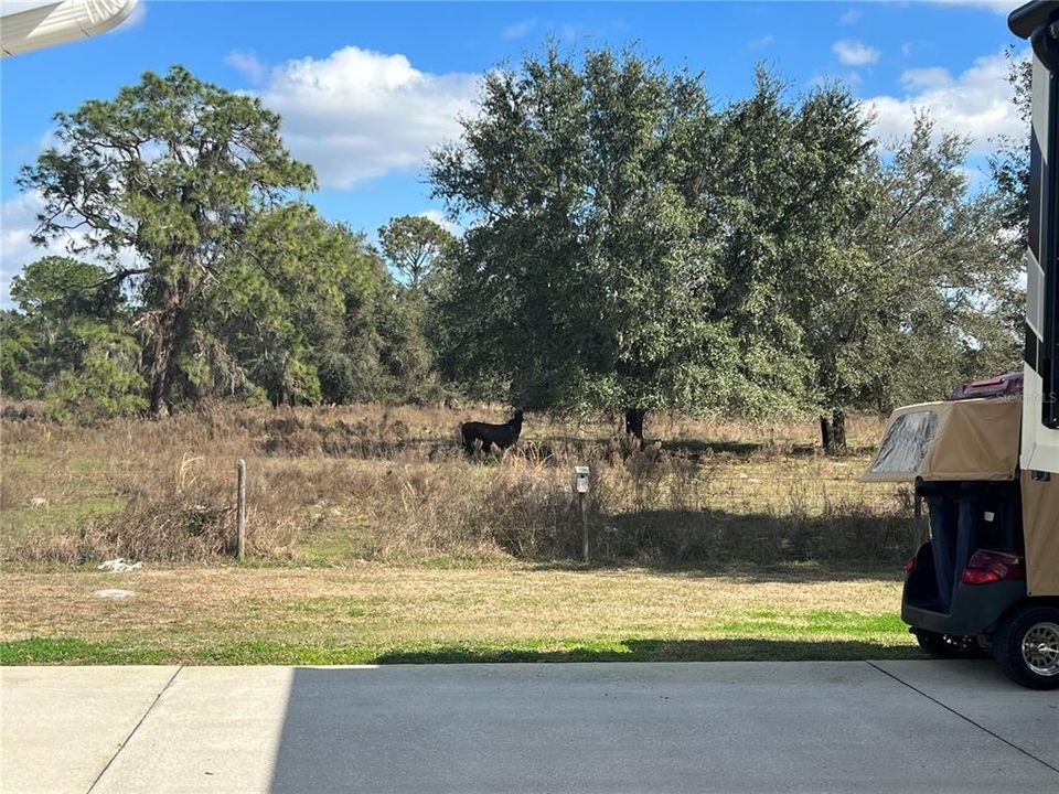 For Sale: $184,900 (0.12 acres)