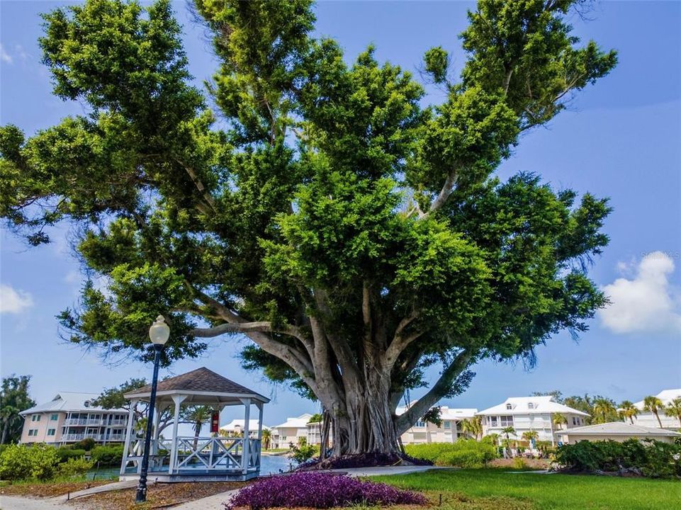 待售: $1,950,000 (3 贝兹, 3 浴室, 3409 平方英尺)