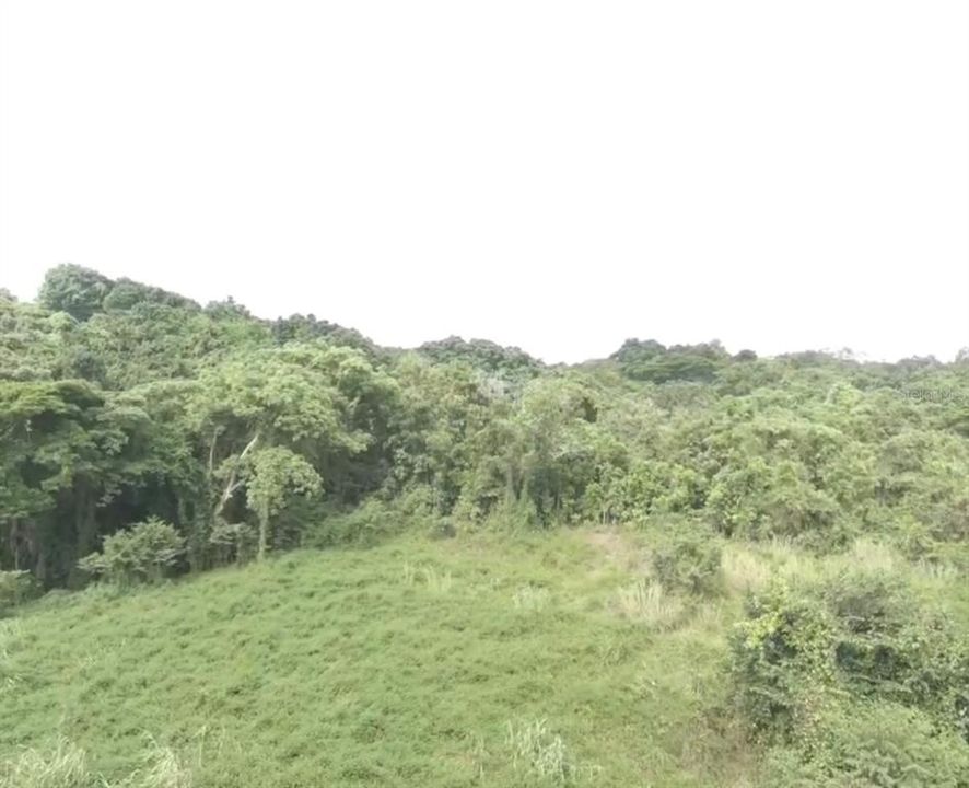 На продажу: $899,999 (24.28 acres)