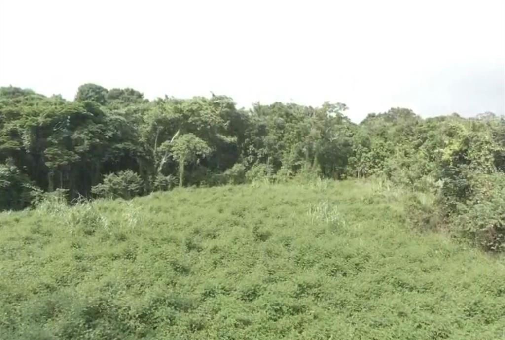 На продажу: $899,999 (24.28 acres)