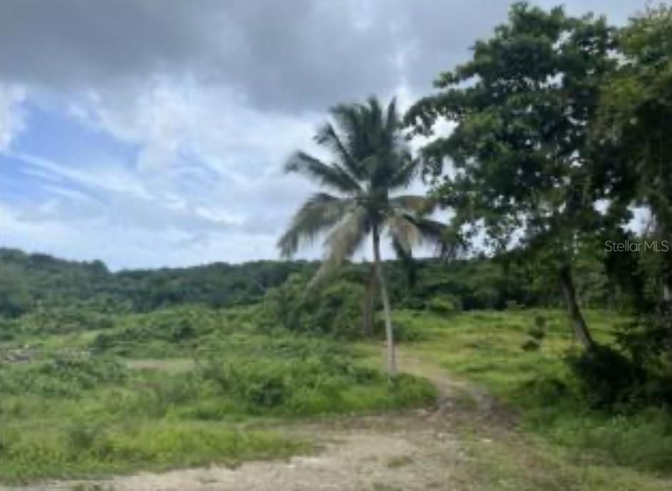 На продажу: $899,999 (24.28 acres)