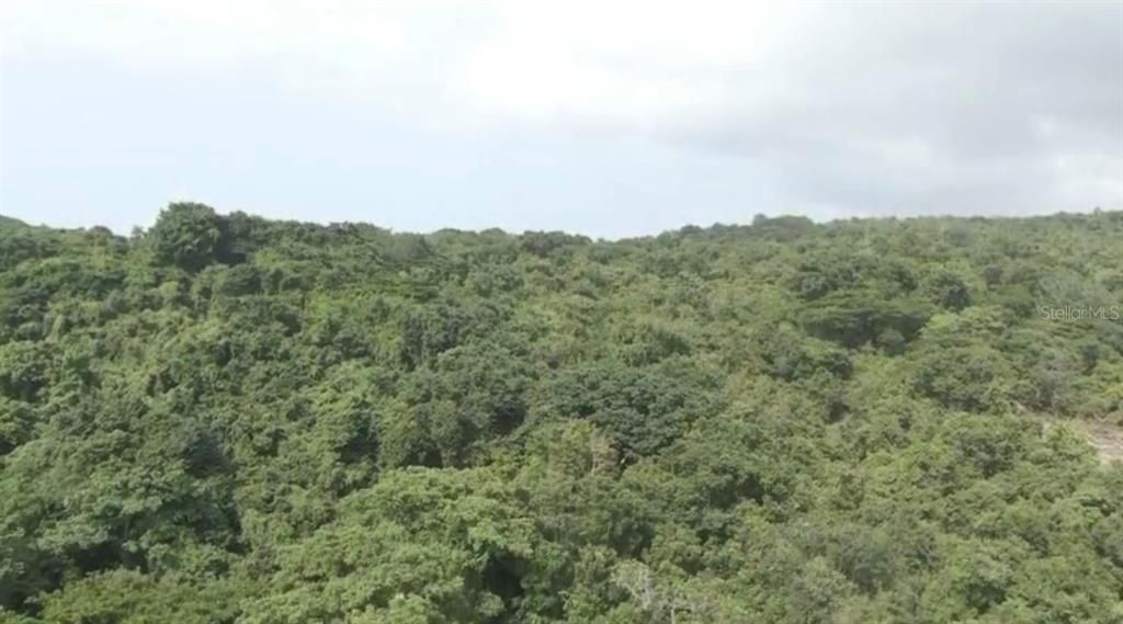 На продажу: $899,999 (24.28 acres)