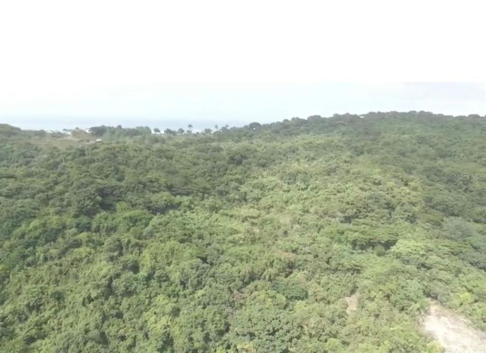 На продажу: $899,999 (24.28 acres)