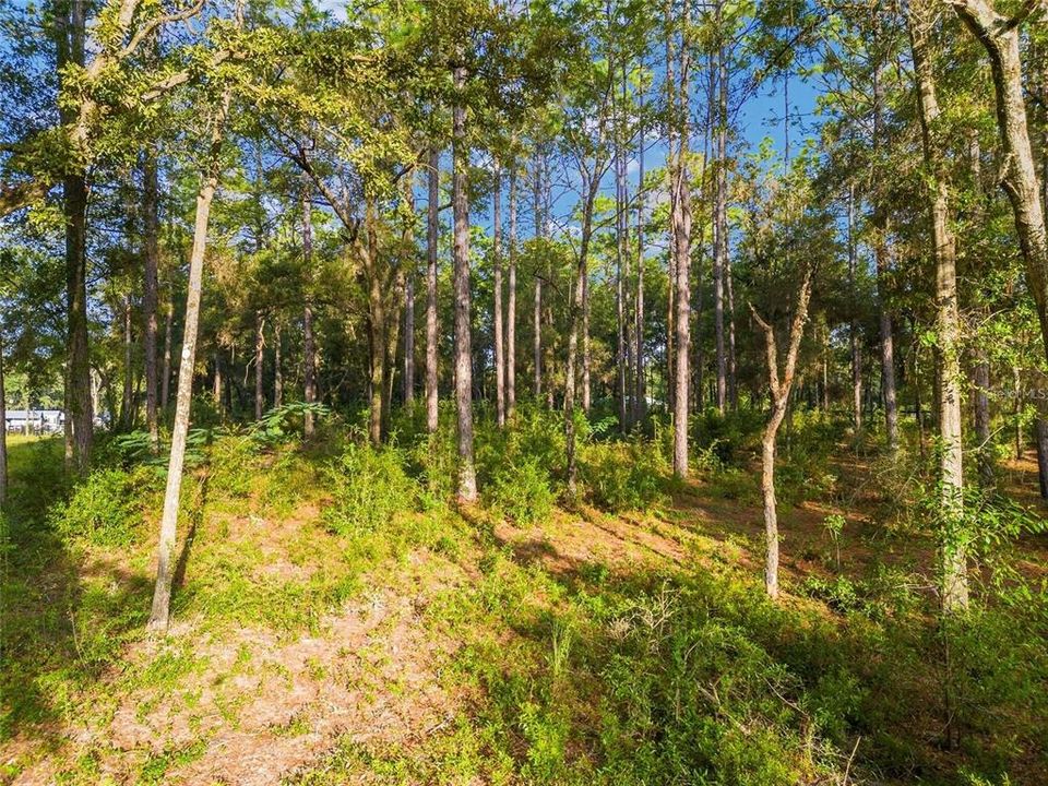 待售: $74,900 (1.50 acres)