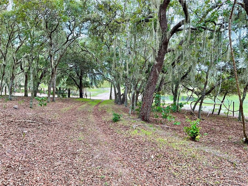 For Sale: $3,500,000 (65.50 acres)