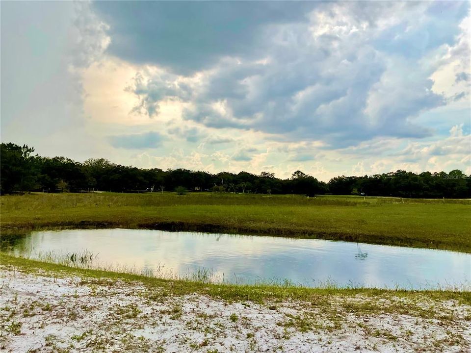 For Sale: $3,500,000 (65.50 acres)