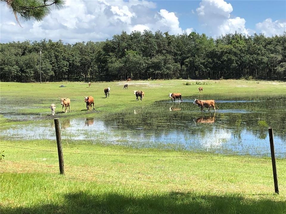 For Sale: $3,500,000 (65.50 acres)