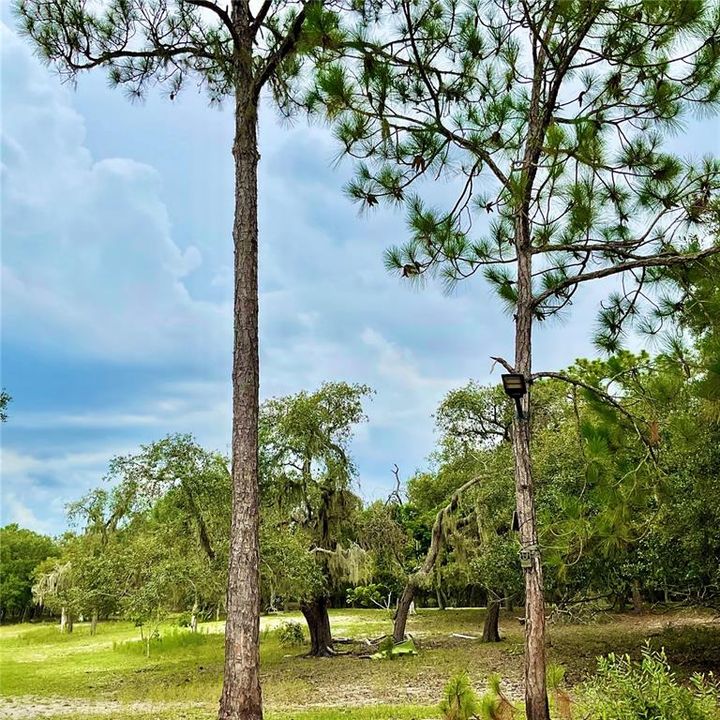 For Sale: $3,500,000 (65.50 acres)