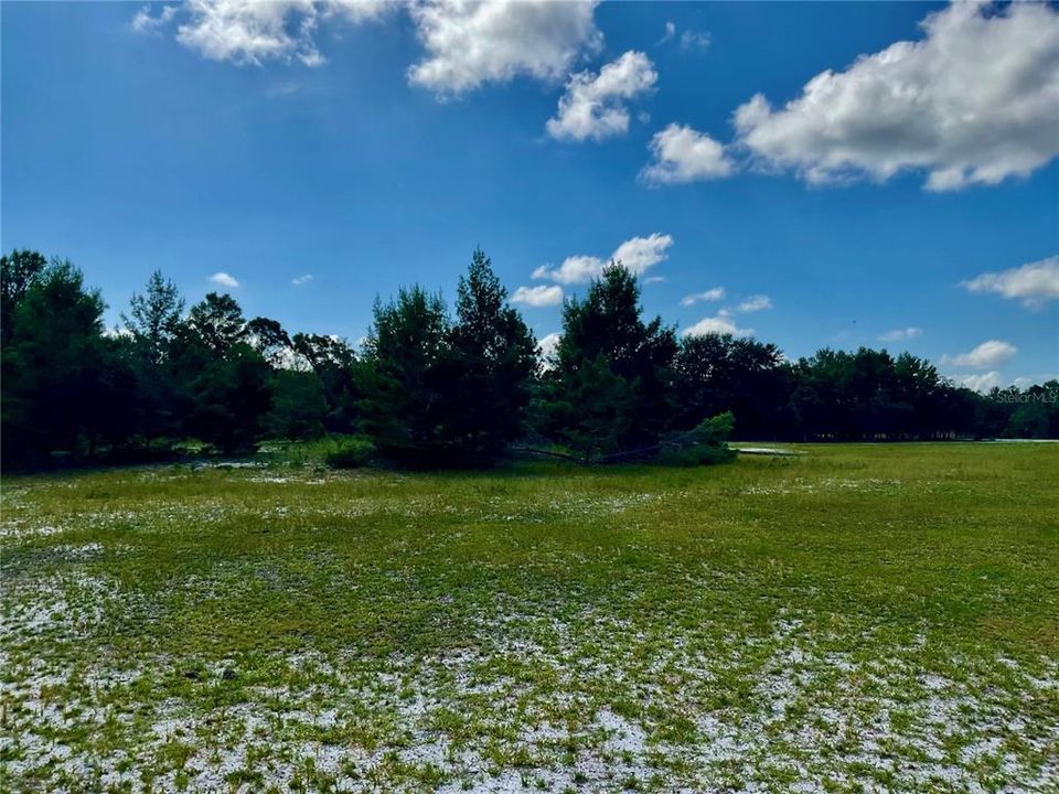 For Sale: $3,500,000 (65.50 acres)