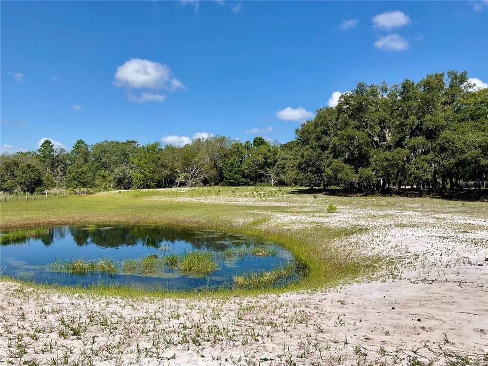 For Sale: $3,500,000 (65.50 acres)