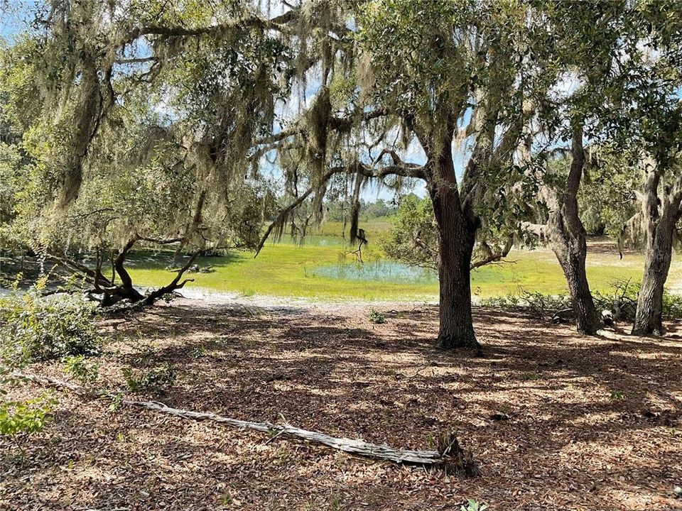 For Sale: $3,500,000 (65.50 acres)