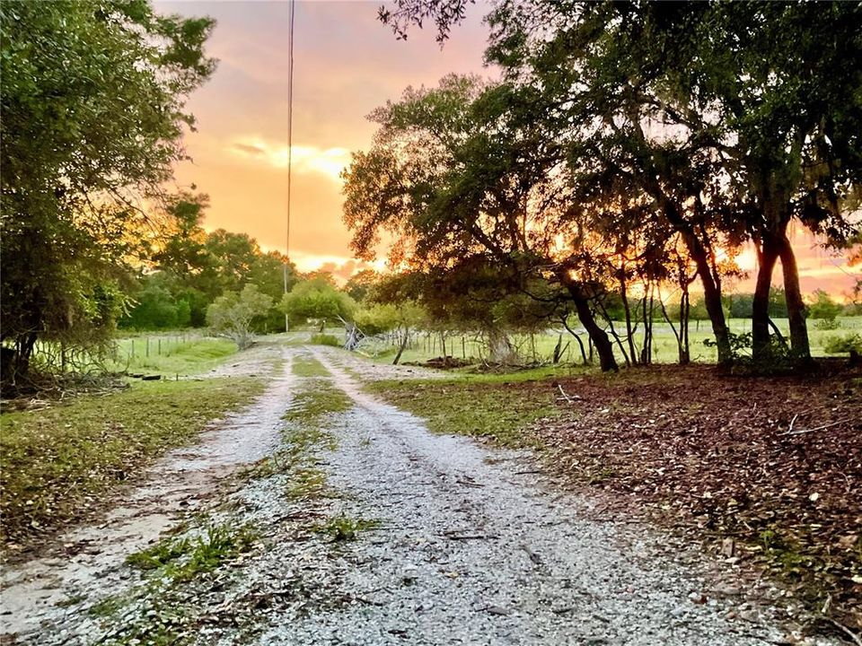 For Sale: $3,500,000 (65.50 acres)