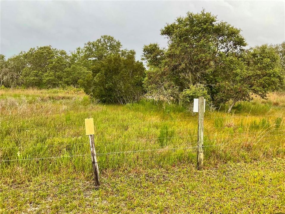 For Sale: $3,500,000 (65.50 acres)