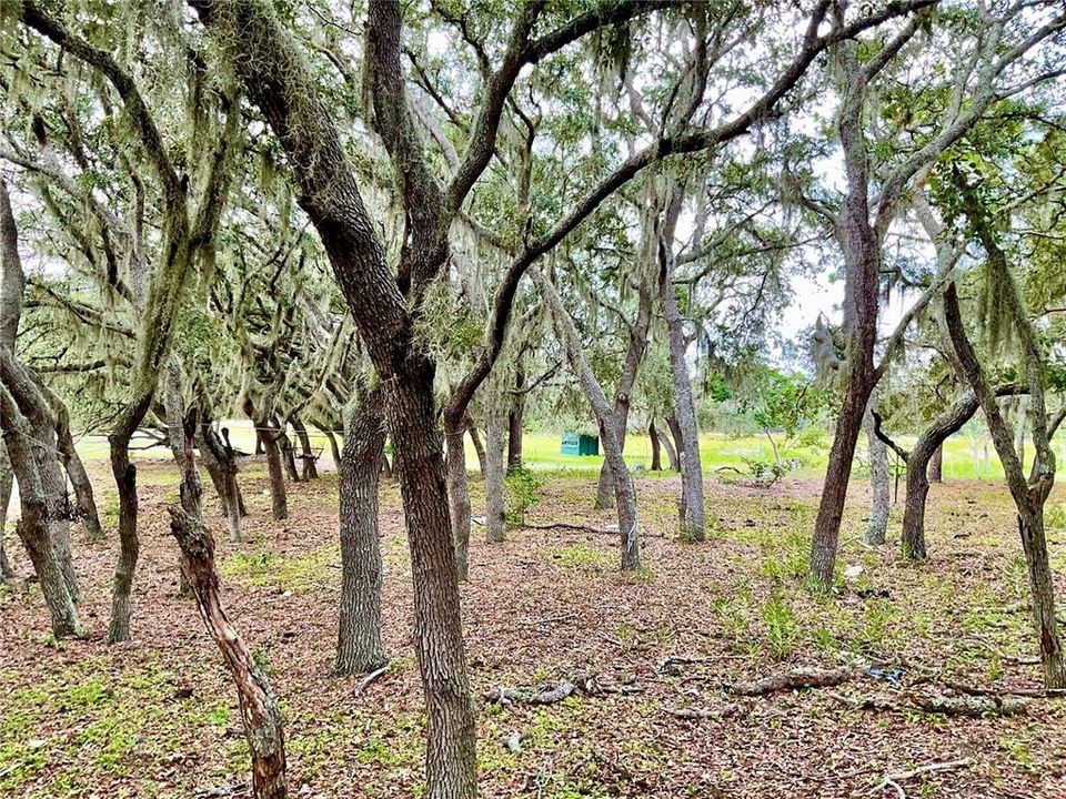 For Sale: $3,500,000 (65.50 acres)