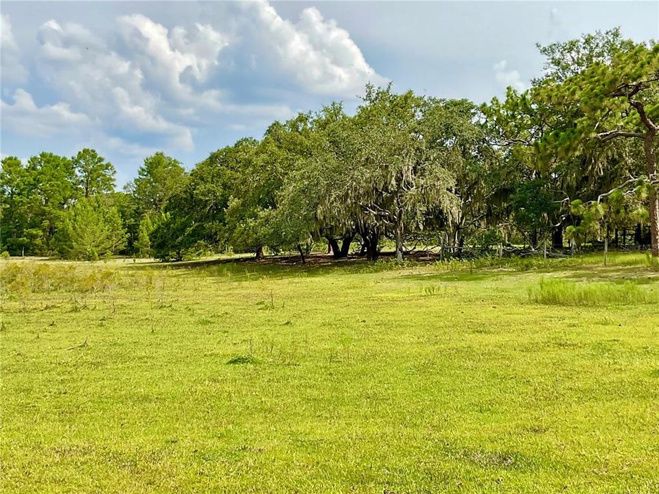 For Sale: $3,500,000 (65.50 acres)