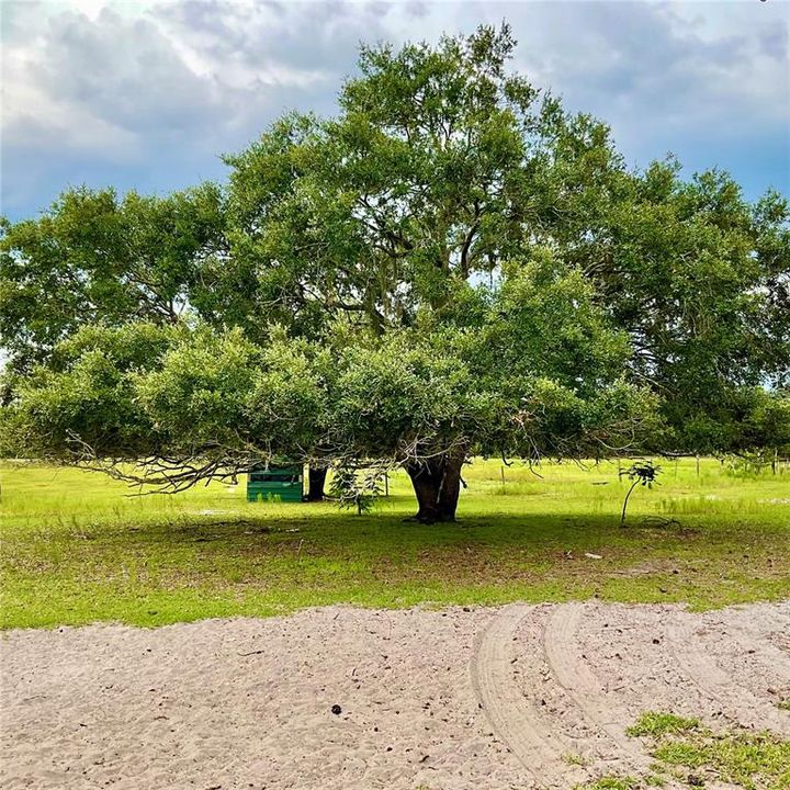 For Sale: $3,500,000 (65.50 acres)