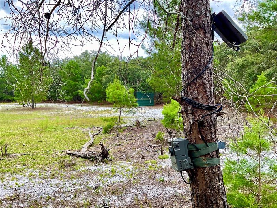 For Sale: $3,500,000 (65.50 acres)