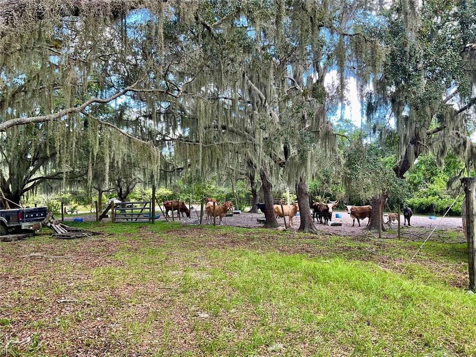 For Sale: $3,500,000 (65.50 acres)