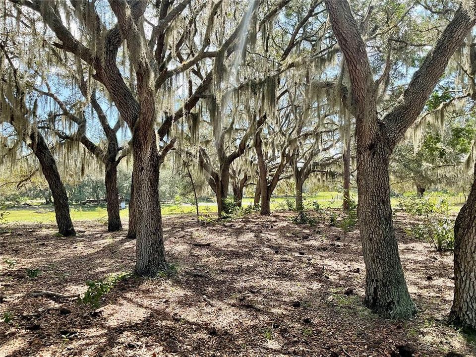 For Sale: $3,500,000 (65.50 acres)