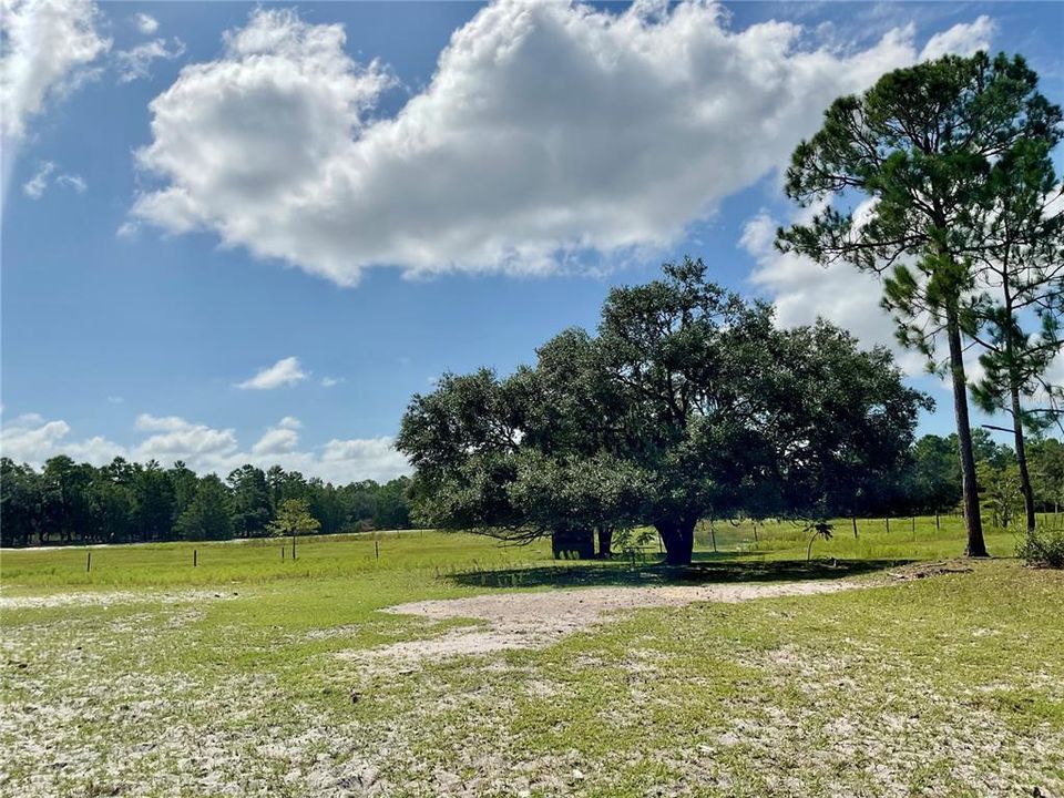 For Sale: $3,500,000 (65.50 acres)