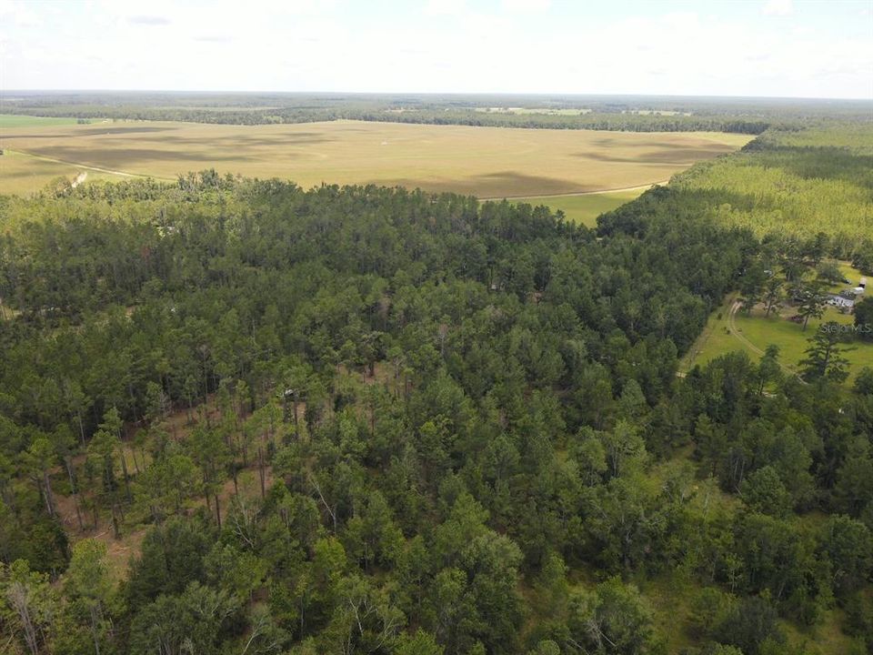 На продажу: $32,800 (2.93 acres)