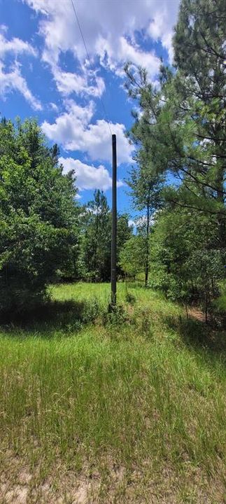 На продажу: $32,800 (2.93 acres)