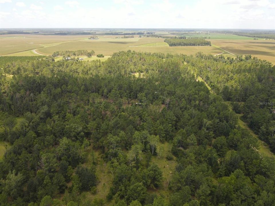 На продажу: $32,800 (2.93 acres)
