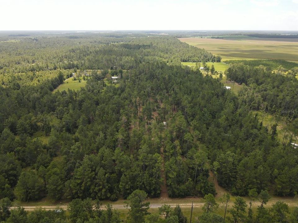 На продажу: $32,800 (2.93 acres)