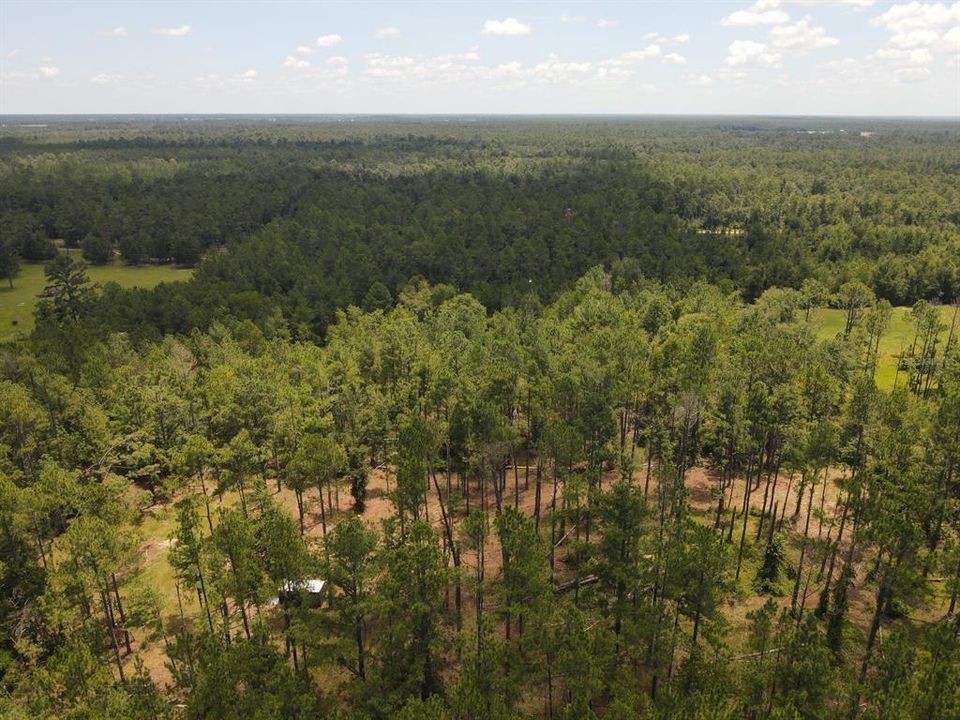 На продажу: $32,800 (2.93 acres)