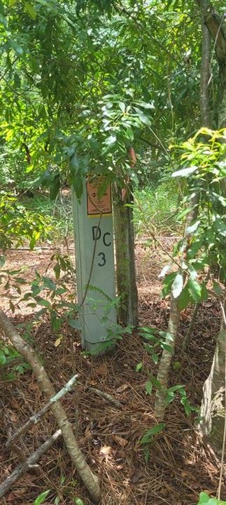 На продажу: $32,800 (2.93 acres)