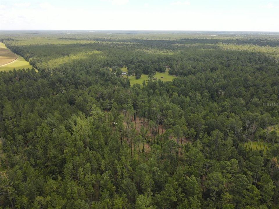 На продажу: $32,800 (2.93 acres)